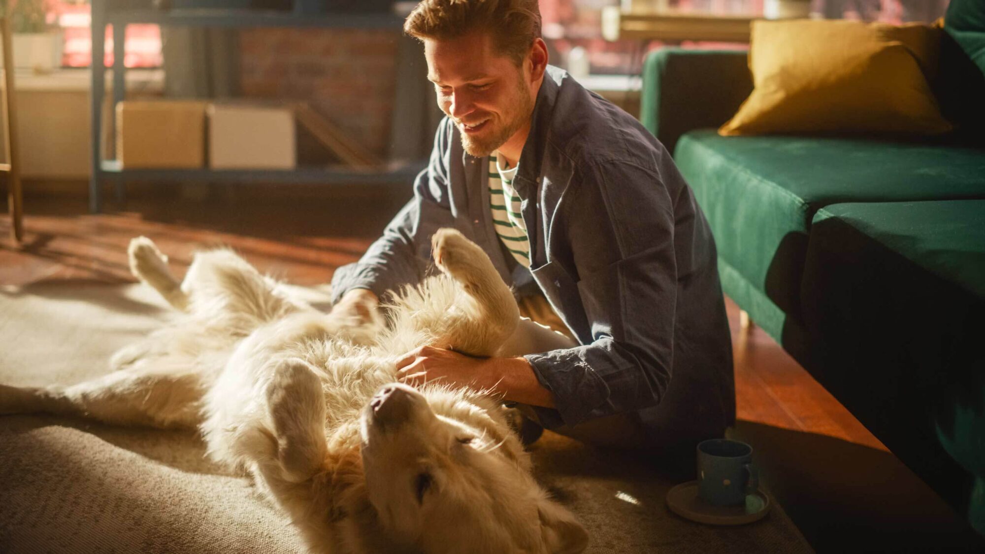 Man playing with a large dog