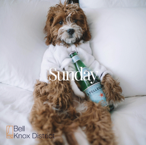 Luxury Apartments in Dallas near Katy Trail | Bell Knox District